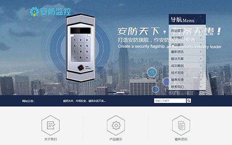 安防监控类网站
